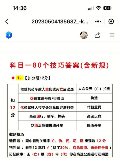科目一还没有考能去驾校练车吗?科目一还没考可以去练车吗