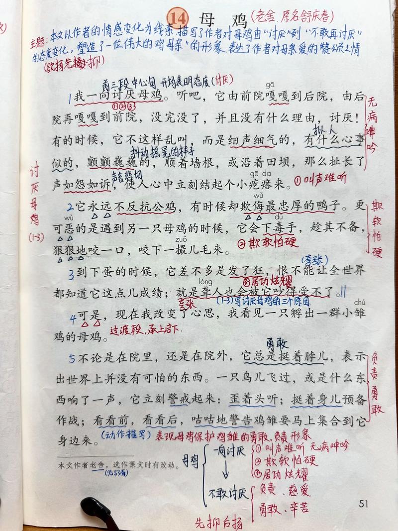 母鸡这篇课文的主要内容简写？母鸡这篇课文主要讲了什么内容