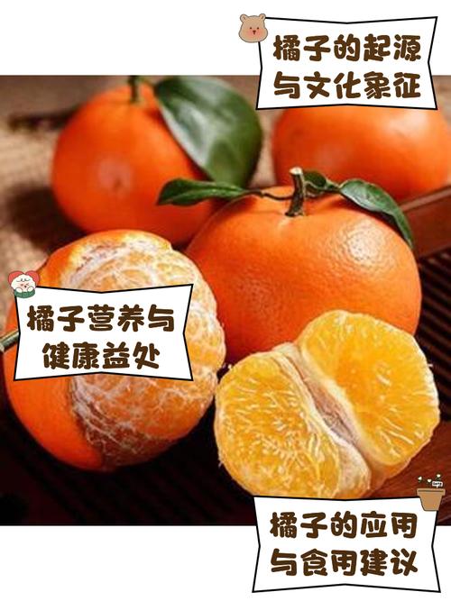橘子介绍的资料大全？橘子的简单介绍