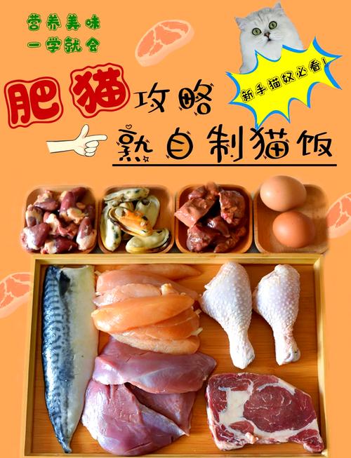 烤箱怎么做猫零食？烤箱自制猫饭