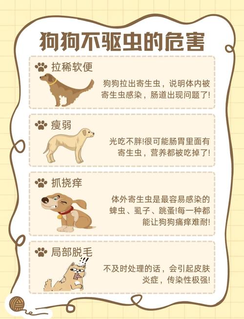 配过种的母狗能驱虫吗？母狗配种后可以吃打虫药吗