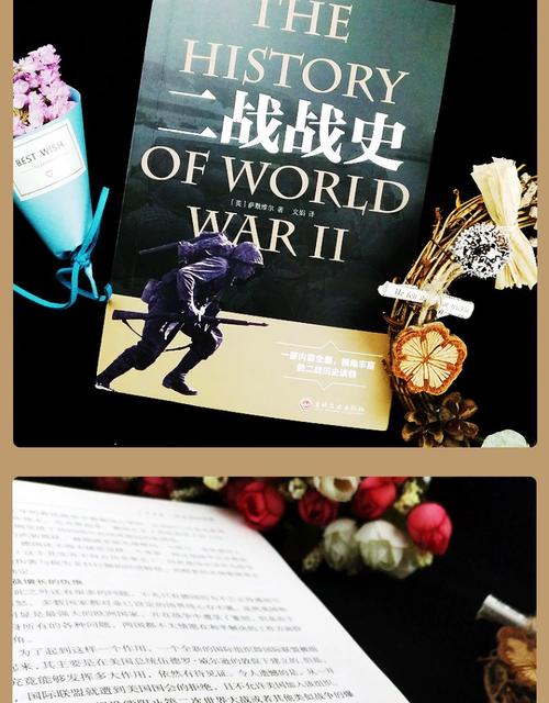 回到二战的穿越小说?我穿越回到二战还能干什么