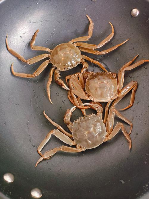 螃蟹离开水能活吗？螃蟹离开水能活吗视频