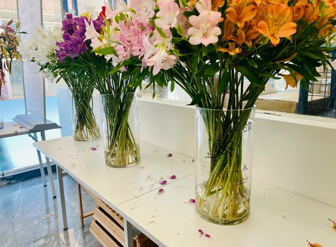 瓶插鲜花如何保鲜最好？瓶插鲜花如何保鲜最好视频