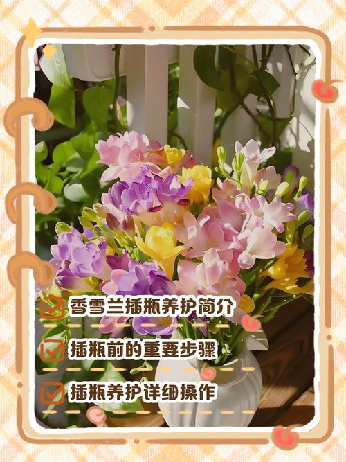 瓶插鲜花如何保鲜最好?瓶插鲜花如何保鲜最好视频