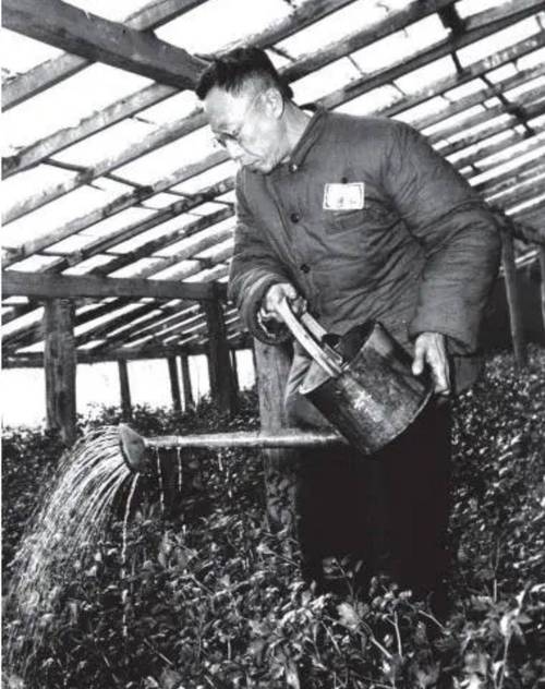 清朝末代皇帝溥仪最后怎么结束的？清末 溥仪