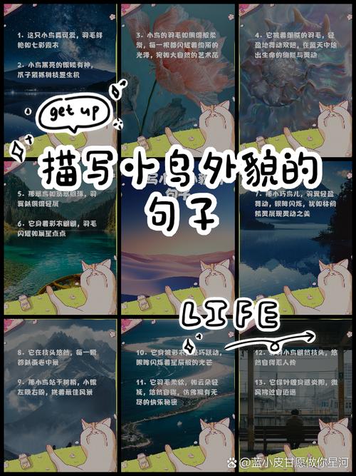 清晨小鸟什么什么的造句？清晨小鸟什么什么的造句怎么写