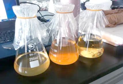 品红亚硫酸钠培养基适用性检查？品红亚硫酸钠培养基属于什么培养基