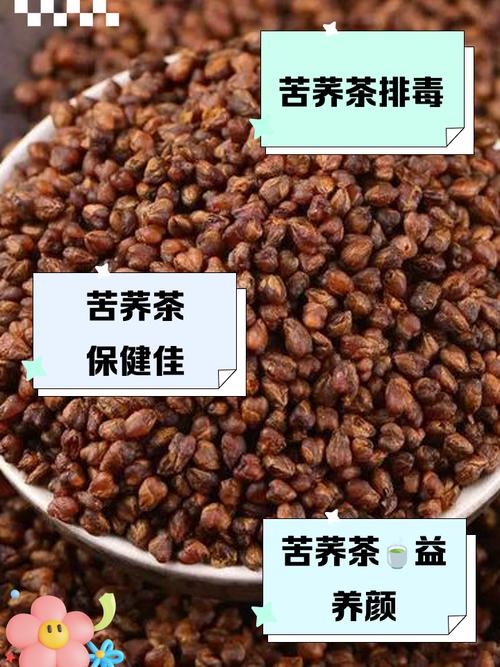 苦荞能生着泡水喝吗?苦荞生的就能泡茶吗