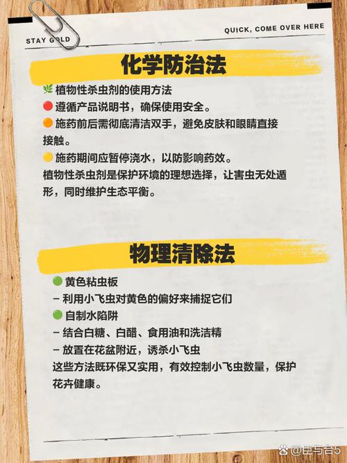 盆栽有虫子了用什么办法？盆栽有虫子了用什么办法去除