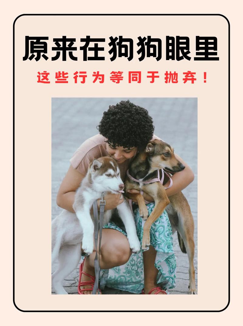 弃养是抛弃的意思吗？弃养是违法还是犯罪