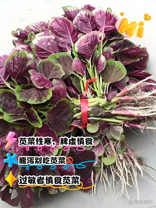 苋菜过夜第二天能吗？苋菜过夜吃了会中毒嘛