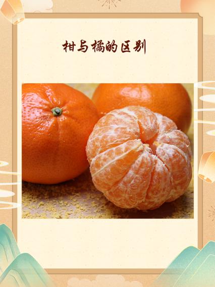 桔子与芦柑的区别？桔子与芦柑的区别是什么