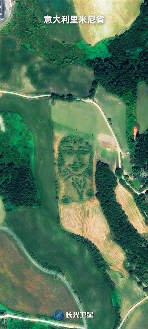 原来 地球上偷偷藏了这么多笑脸(图4)