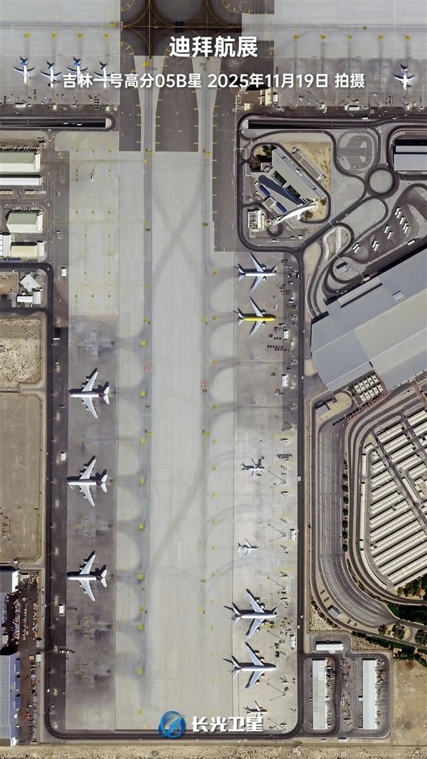 同样都是狗 为何差异巨大(图2)