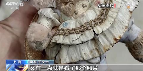 白嫖党快把商家逼疯！央视曝网购AI骗术：买家用AI瑕疵图仅退款(图2)