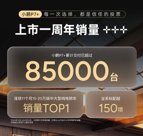 小鹏销量破纪录后 最赚钱的竟然不是卖车(图5)