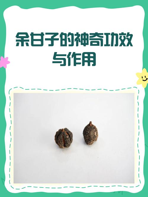 余甘子叶的功效与作用?余甘子功效及禁忌