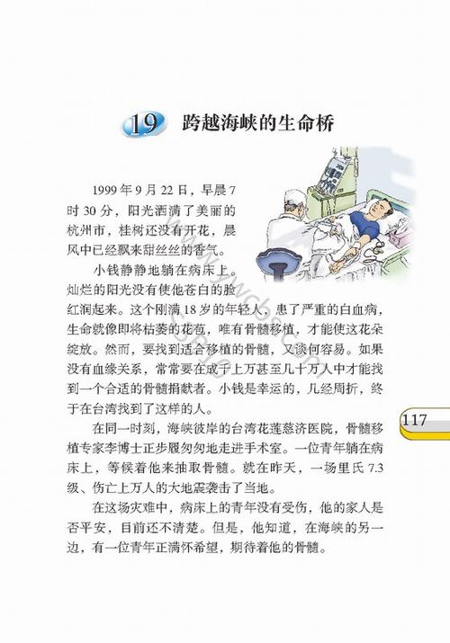跨越海峡的生命桥主要讲了一件什么事？跨越海峡的生命桥的含义