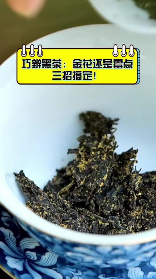 黑茶发霉了还可以喝吗有毒吗?黑茶发霉了还能喝吗