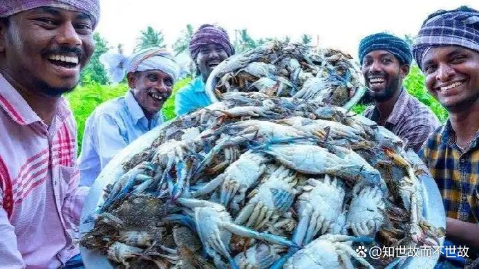 便宜30%的印度水产?你敢吃吗?