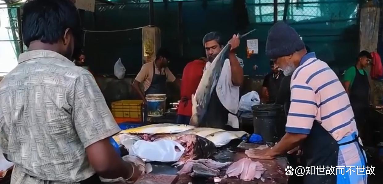 便宜30%的印度水产?你敢吃吗?