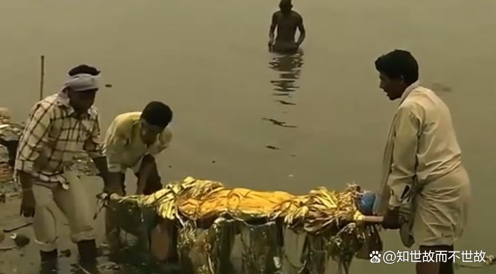 便宜30%的印度水产?你敢吃吗?