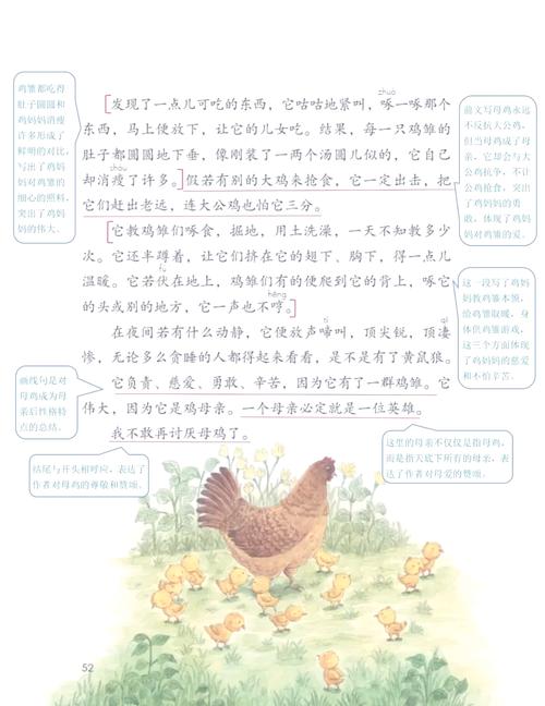 母鸡的文章主要内容？母鸡这篇文章的主要内容