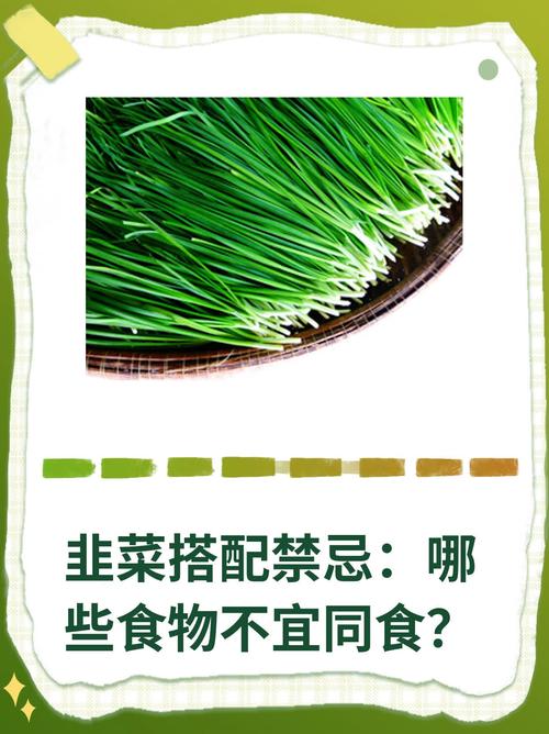 韭菜不能和什么吃一起？韭菜不能和什么一起吃?