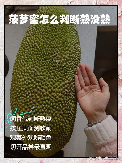 菠萝蜜熟透和烂的区别是什么？菠萝蜜熟透了是什么样