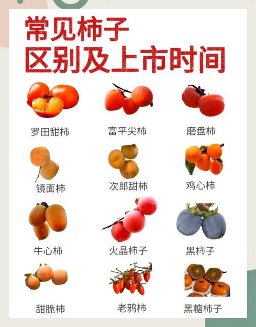 空腹吃柿子怎么办补救?空腹吃柿子怎么办,有破解方法吗?