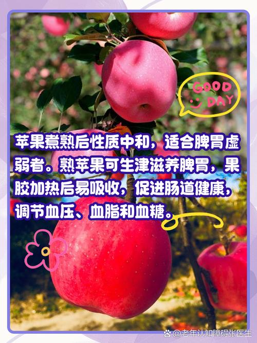 苹果能不能放到微波炉里加热?苹果能不能放到微波炉里加热吃