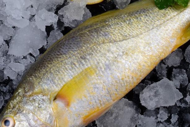 冬天买鱼,这5种鱼不能人工养殖,刺少肉嫩营养高,千万别错过