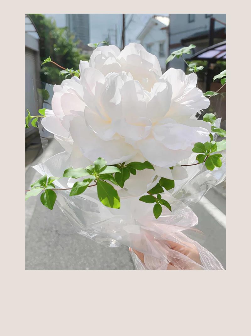 芍药别称为什么叫将离?芍药又叫将离的典故