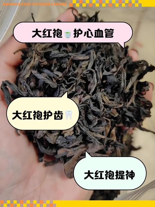 大红袍茶怎么保存方法?大红袍茶叶的储藏方法