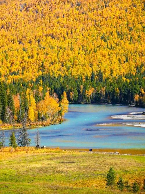 秋天适合去哪里玩?国内游?秋天适合去哪里玩?国内游玩
