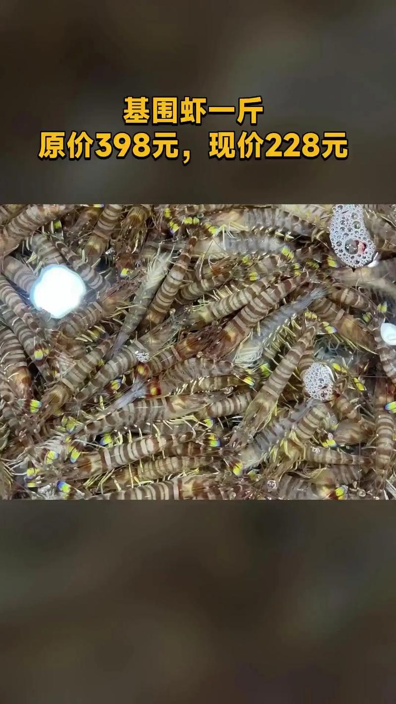 皮皮虾跟龙虾像还是跟对虾像?皮皮虾和小龙虾营养价值