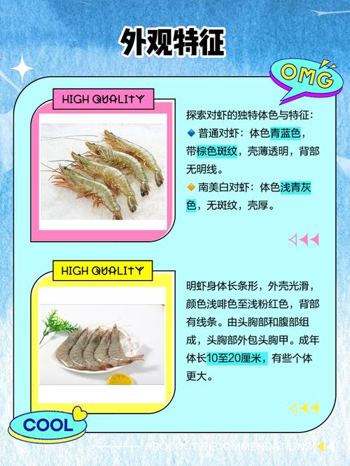 皮皮虾跟龙虾像还是跟对虾像?皮皮虾和小龙虾营养价值