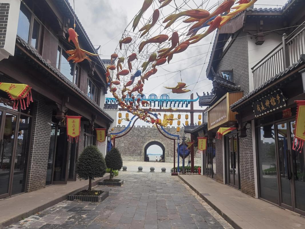 九江市星子县共有多少个乡镇?星子县属于九江市哪个区