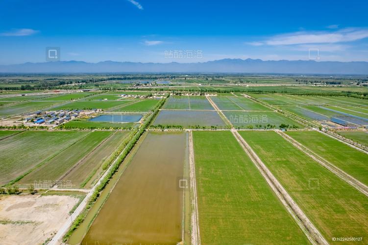 宁夏平原有什么的美称?宁夏平原的物产