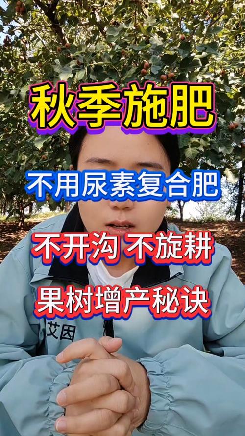 春季苹果树施尿素几斤?苹果树春天浇水撒尿素几斤好