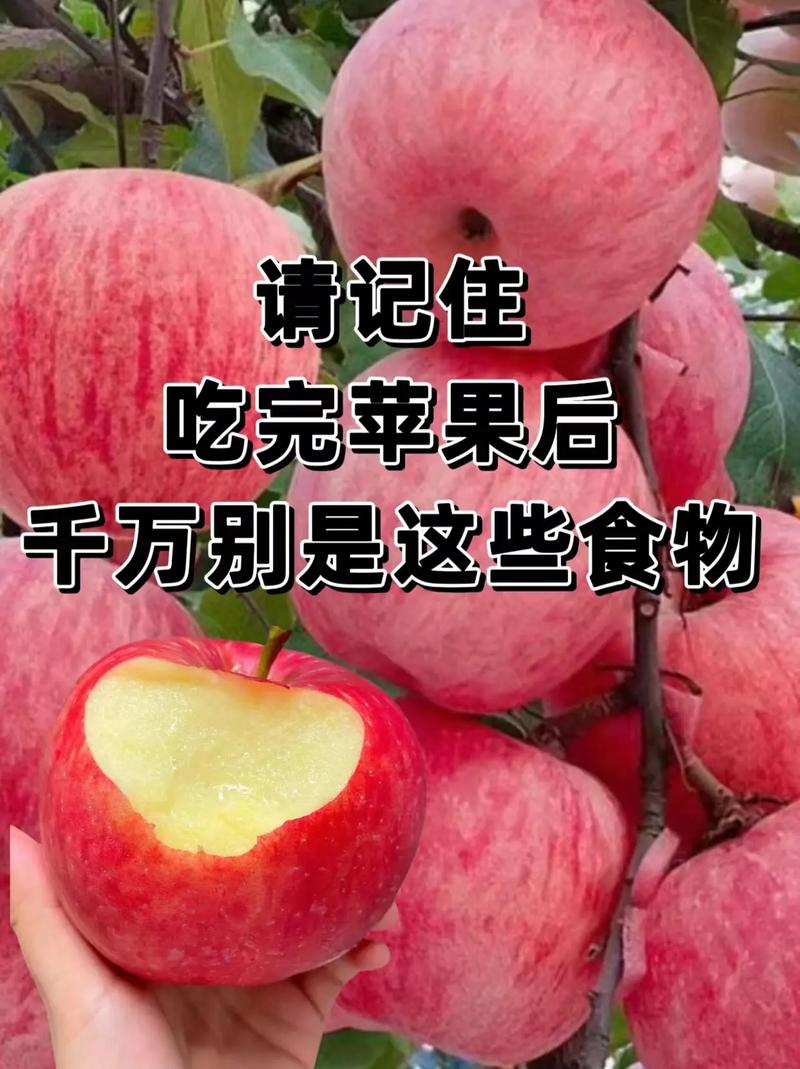 苹果不能和什么一起吃禁忌?苹果不能和啥同吃