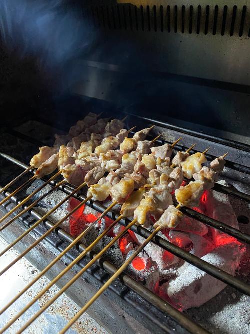 烤羊肉串摸什么油?烤羊肉串摸什么油比较好