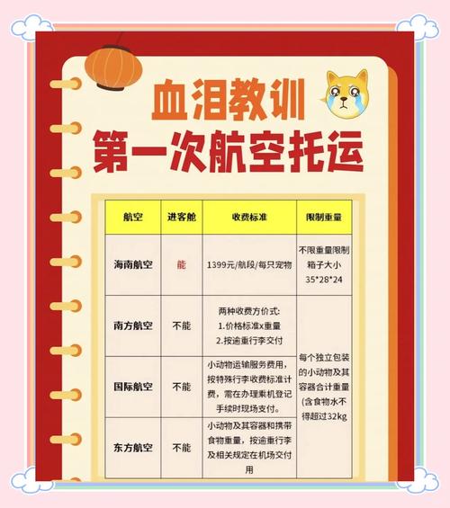 空运猫咪怎么办理？空运猫咪流程