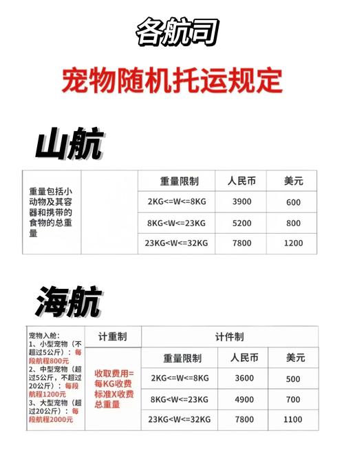 空运猫咪怎么办理?空运猫咪流程