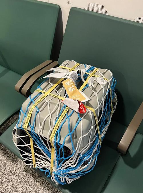 空运猫咪怎么办理?空运猫咪流程