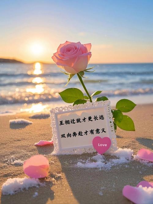 求爱的句子唯美?求爱的句子唯美图片