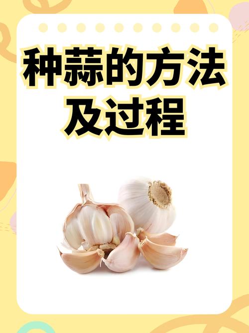 大蒜为什么要提前拍裂?大蒜为什么要提前拍裂的原因