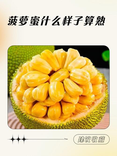 菠萝蜜怎么辨别生熟呢?怎样辨别菠萝蜜生熟