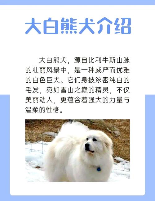 大白熊犬属于禁养犬吗？大白熊犬被禁养了吗